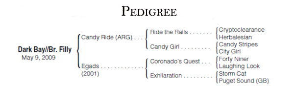 Filly Pedigree