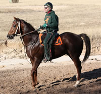 Saracen14