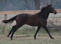 WEB-Feb-13-in-stride