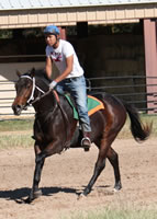 WEB-gallop-Nov-12