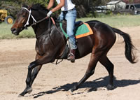 WEB-in-training-Nov-12