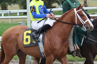 BrigagadeCommander11