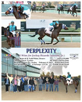 Perplexity-7