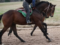 Florencio10