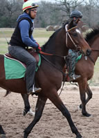 Florencio12