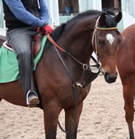 Florencio15