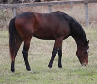 Florencio4