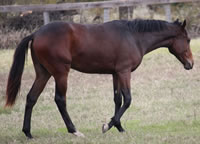 Florencio5
