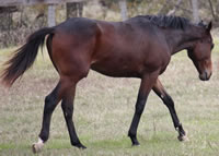 Florencio6
