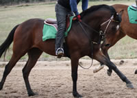 Florencio9