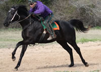 WEB-breezing-1202