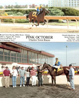 Pink-October-Win-Photo-CT-101024